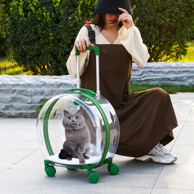 Cat Dog Transparent Window Suitcase Acrylic Travel Outdoor Bag Space Capsule Pet Backpack Trolley Case Hand Push Dual-use Travel · v2